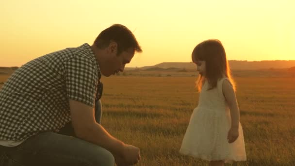 Child picks flowers in a meadow with his father. Little daughter walks with dad in meadow holding hands. child holds father s hand. family walks in evening out of town. Dad and baby in park. — Stock Video
