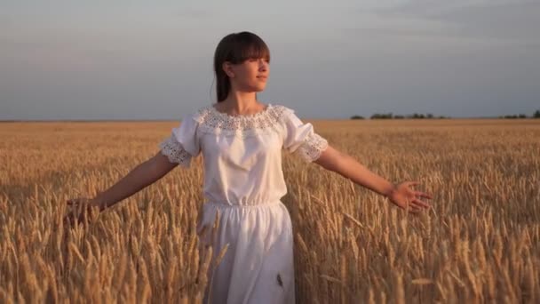 Chica joven y feliz corre en cámara lenta a través del campo, tocando espigas de trigo con su mano. Hermosa mujer libre disfrutando de la naturaleza bajo el cálido sol en un campo de trigo sobre un fondo al atardecer. Chica viaja. — Vídeo de stock