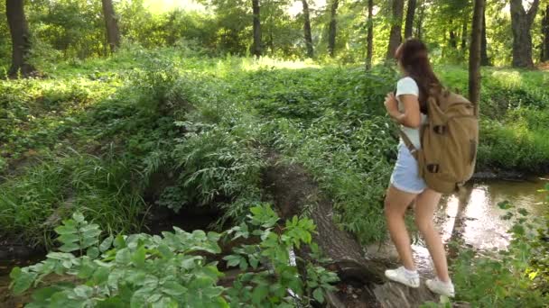 Giovane turista femminile sana attraversa il fiume su un albero caduto. viaggiatore ragazza libera attraversa il fiume su un tronco. Una ragazza con uno zaino e 'andata a fare un'escursione. uomo in cerca di avventura. concetto di stile di vita sano — Video Stock