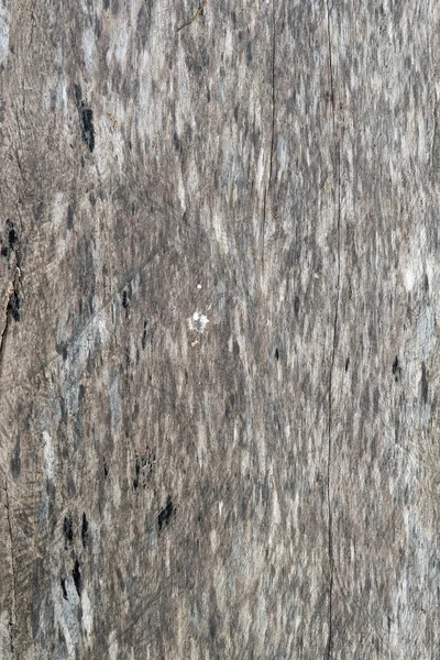 Wood texture. Abstract background, empty templat — Φωτογραφία Αρχείου