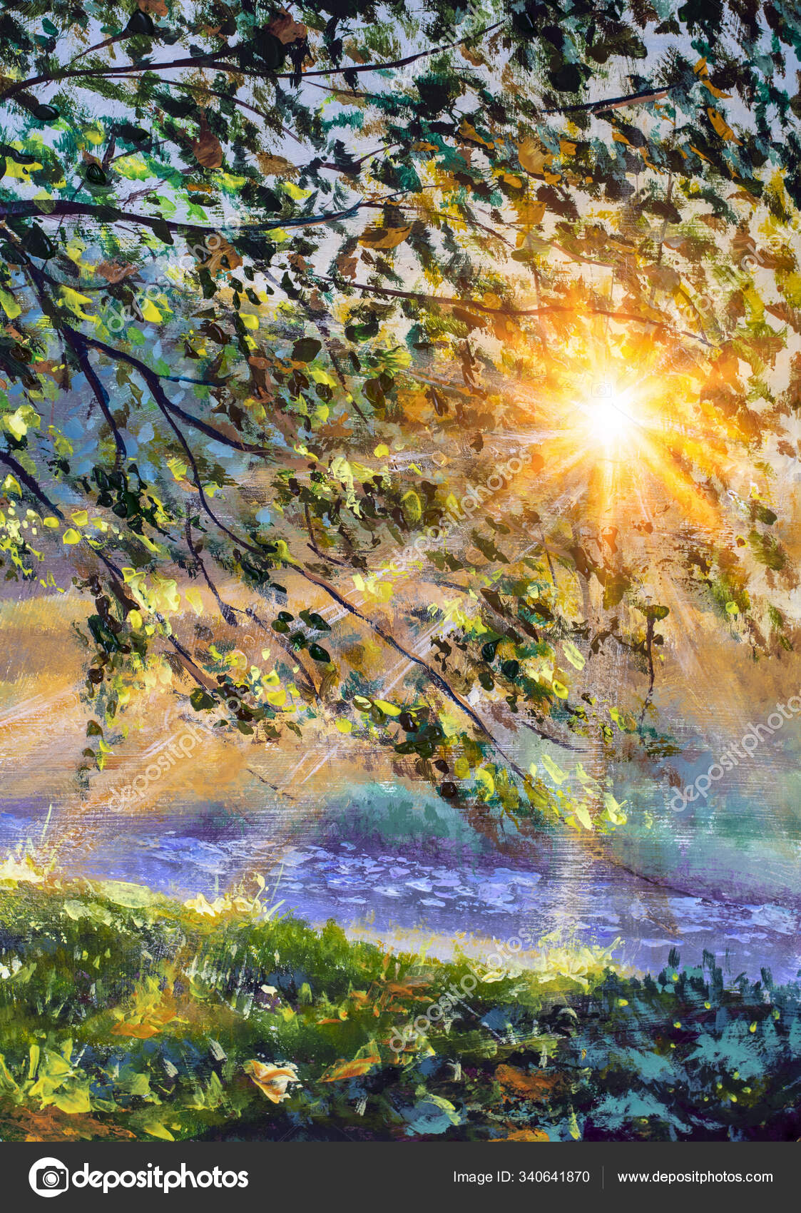 First Rays Sun Dawn Sunset Foliage Tree Branches Fragment Acrylic Stock Photo Image By C Weris7554