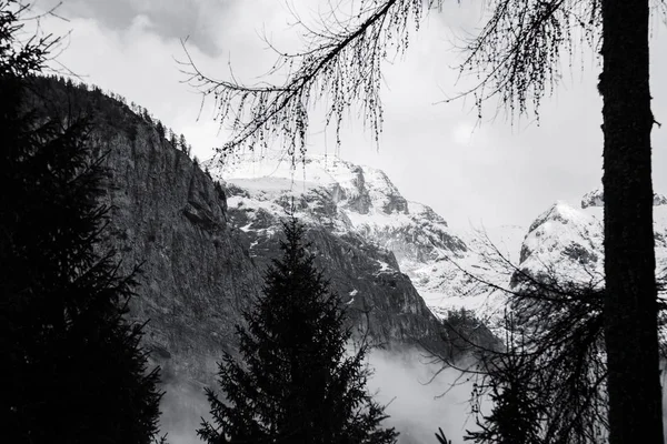Berg. Bovenaanzicht in de sneeuw met mist, Italiaanse Alpen — Stockfoto
