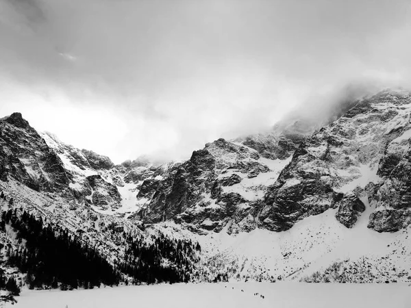 Montagne Blanche Noire Nuage Brouillard Des Arbres Bois — Photo