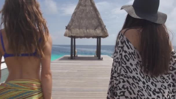 Jonge vrouwen vrienden aanpak luxe boot — Stockvideo