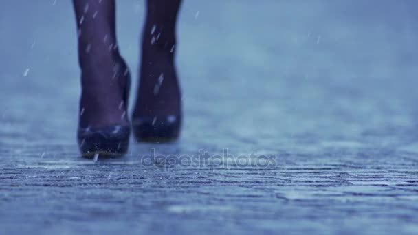Kobiece nogi chodzenie na wysokich obcasach — Wideo stockowe