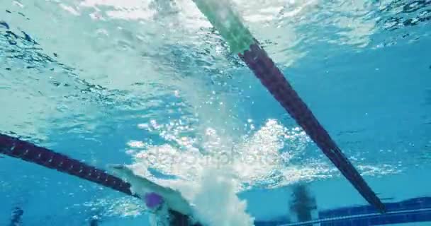 Nadador profissional feminino nadando na piscina — Vídeo de Stock