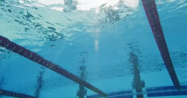 Professionele mannelijke zwemmer zwemmen in zwembad — Stockvideo