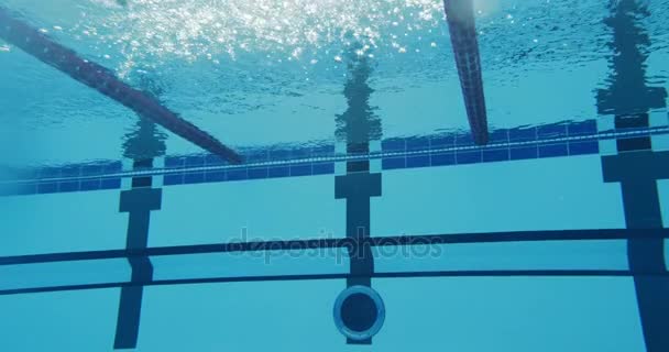 Nadador profissional feminino nadando na piscina — Vídeo de Stock