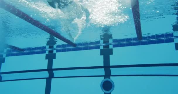 专业男性游泳者在游泳池里游泳 — 图库视频影像
