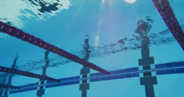 Nadador profissional feminino nadando na piscina — Vídeo de Stock