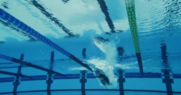 专业的女子游泳运动员，在游泳池里游泳 — 图库视频影像