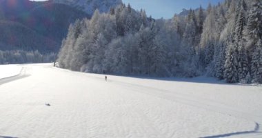 Güzel kış doğa manzarası