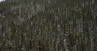 Güzel kış doğa manzarası