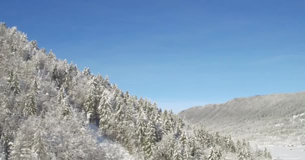 Pintoresco paisaje de naturaleza invernal — Vídeos de Stock