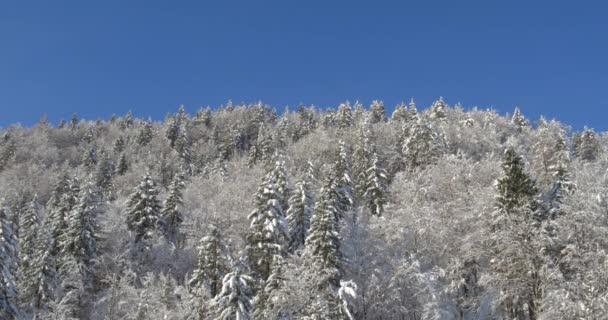 Pintoresco paisaje de naturaleza invernal — Vídeos de Stock