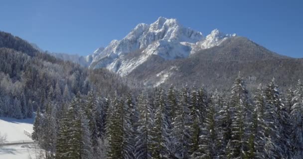 Pintoresco paisaje de naturaleza invernal — Vídeos de Stock