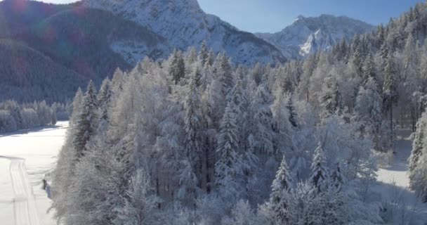 Picturesque winter nature landscape — Stock Video