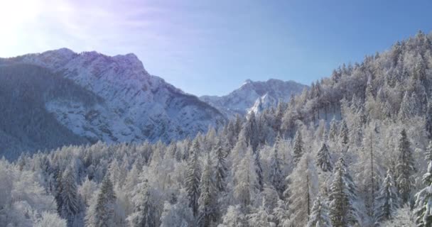 아름 다운 겨울 자연 풍경 — 비디오