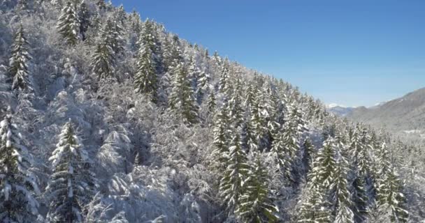 Schilderachtige natuur winterlandschap — Stockvideo