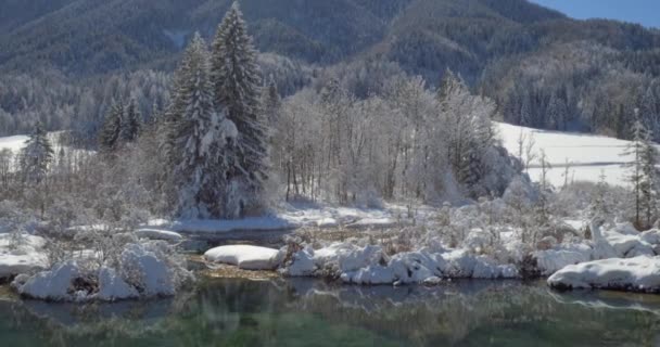 Paysage naturel hivernal pittoresque — Video