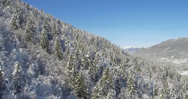 Schilderachtige natuur winterlandschap — Stockvideo