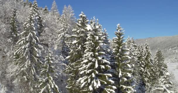 Malebné zimní příroda krajina — Stock video