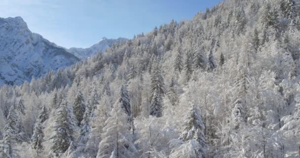 Inverno pitoresco natureza paisagem — Vídeo de Stock