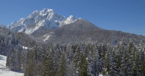 Мальовничий зимовий ландшафт природи — стокове відео