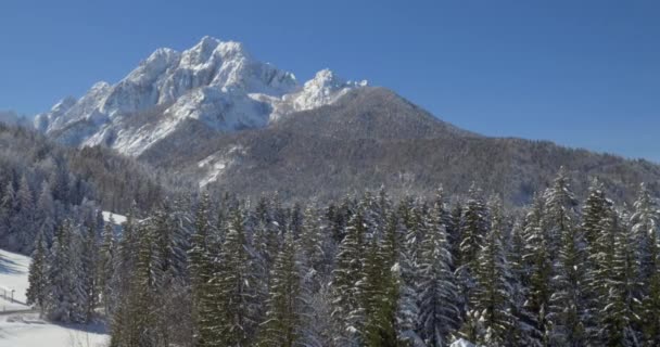 Inverno pitoresco natureza paisagem — Vídeo de Stock