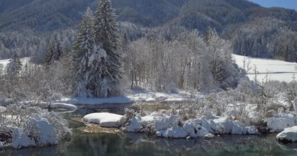 Pintoresco paisaje de naturaleza invernal — Vídeo de stock