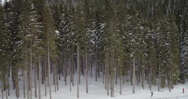 Pintoresco paisaje de naturaleza invernal — Vídeos de Stock