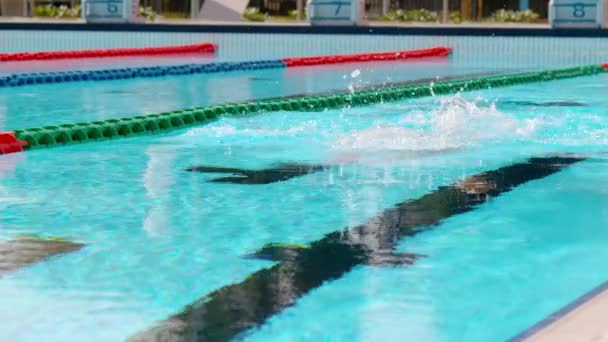 专业男游泳运动员 — 图库视频影像