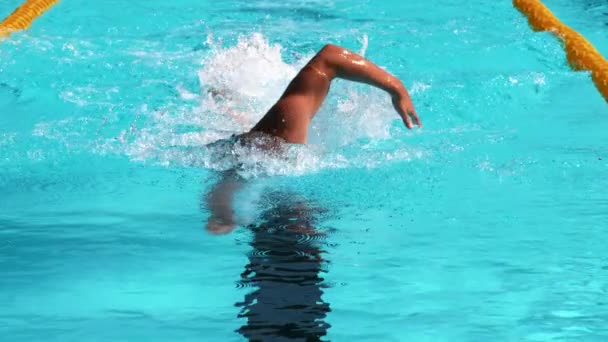 Professional Male Swimmer — Stock Video