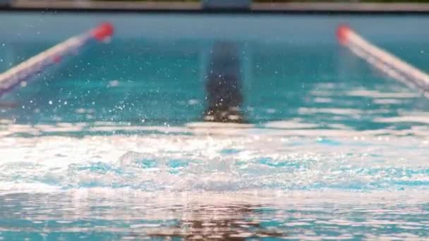 Профессиональная плавательная женщина в бассейне — стоковое видео