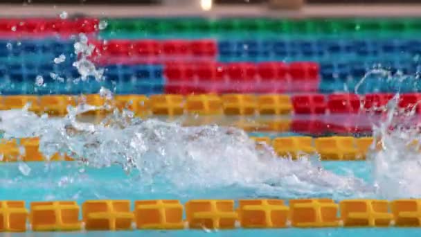 专业男游泳运动员 — 图库视频影像