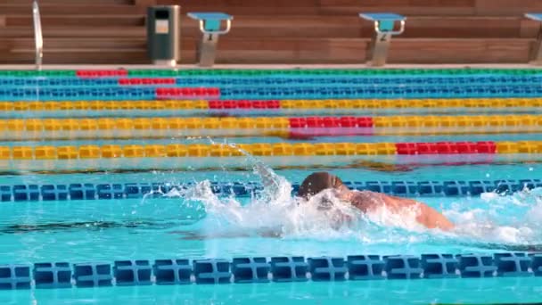Professionele mannelijke zwemmer — Stockvideo