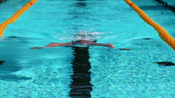 Professionele mannelijke zwemmer — Stockvideo