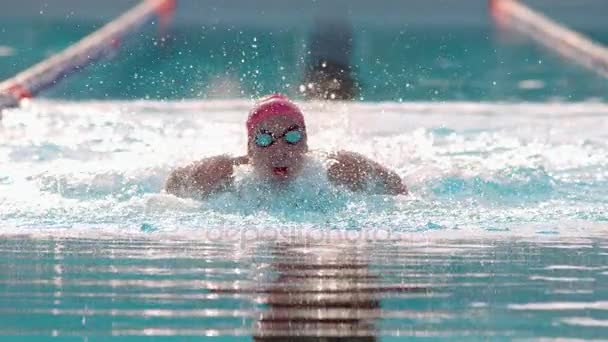 Επαγγελματική γυναικεία κολυμβητής κολύμπι στην πισίνα — Αρχείο Βίντεο