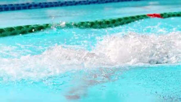 Professional Male Swimmer — Stock Video