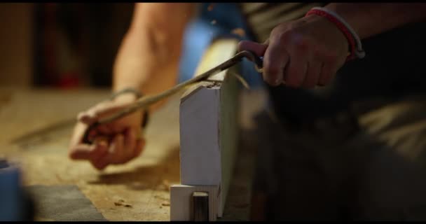 Επαγγελματική ξυλουργός στην εργασία — Αρχείο Βίντεο