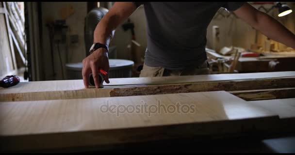 Επαγγελματική ξυλουργός στην εργασία — Αρχείο Βίντεο