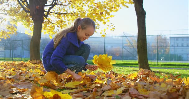 가을 공원에 있는 소녀 — 비디오