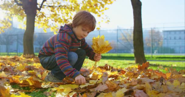 Niño en el parque de otoño — Vídeos de Stock