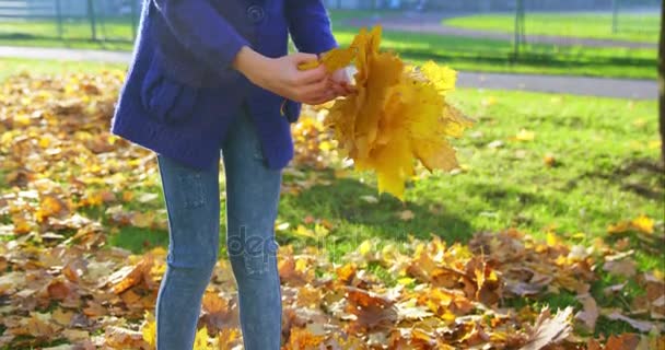 Chica en el parque de otoño — Vídeo de stock