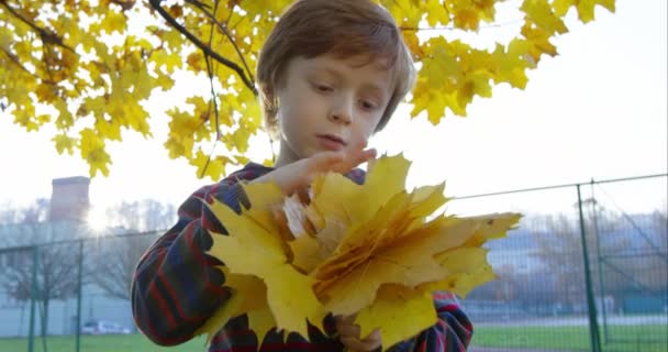 Sonbahar parkındaki çocuk. — Stok video