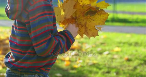 Niño en el parque de otoño — Vídeo de stock