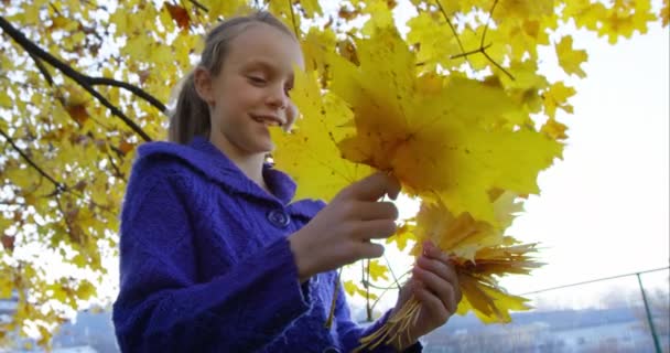 Chica en el parque de otoño — Vídeos de Stock