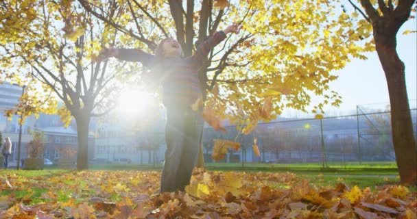 Jongen in het herfstpark — Stockvideo