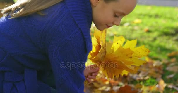 Dívka v podzimním parku — Stock video