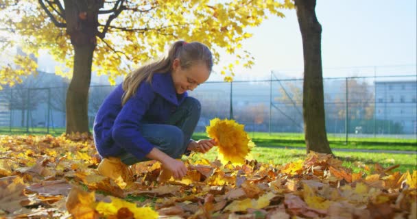 Lány az őszi parkban — Stock videók